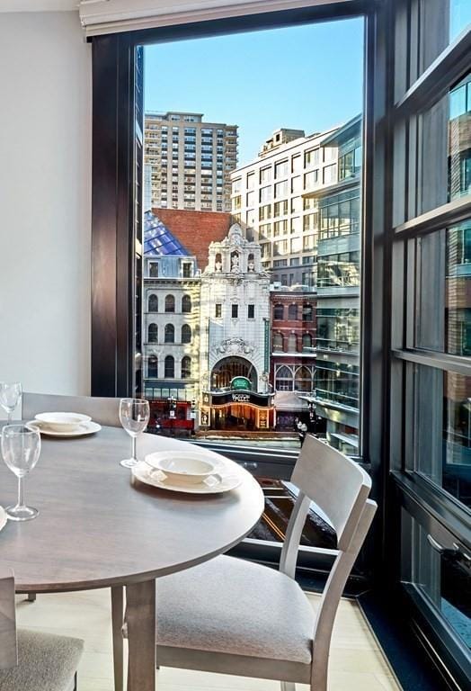 Millenium Place unit 505, Boston, MA 02111 - photo 5