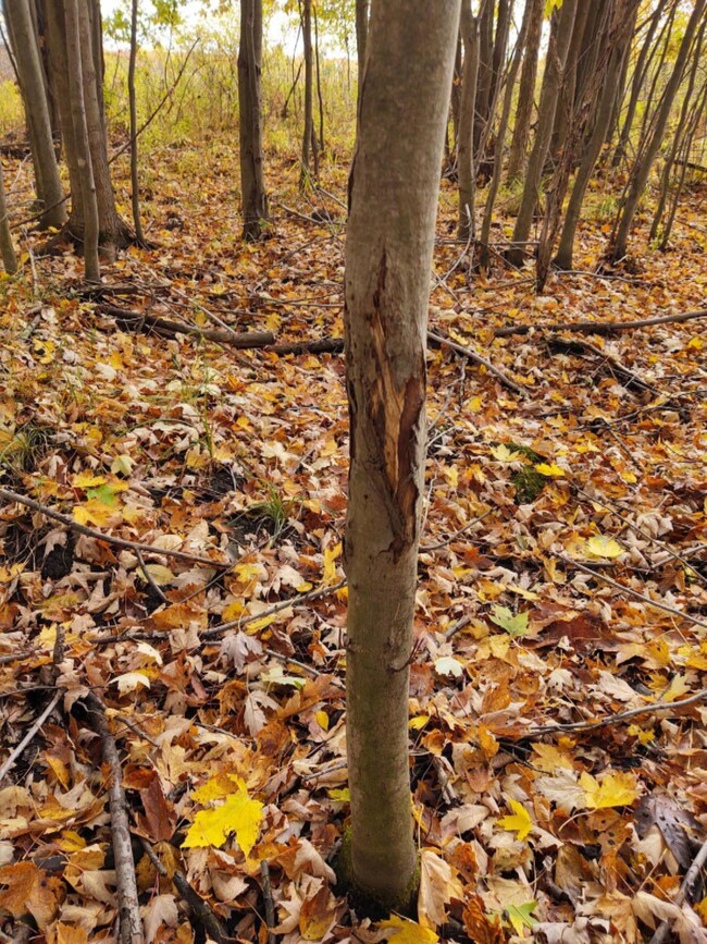 IMG_20201013_114331329_HDR