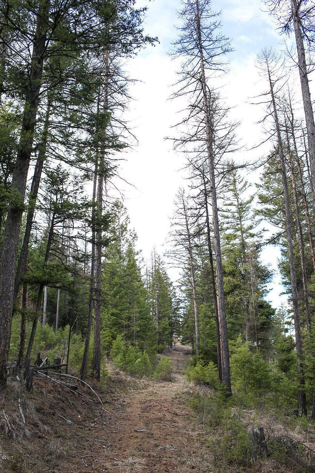 386 Rachael Meadow Ln, Kila, MT 59920 - photo 6