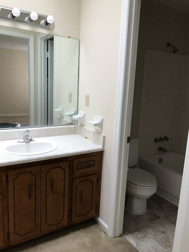 Owner's Bath