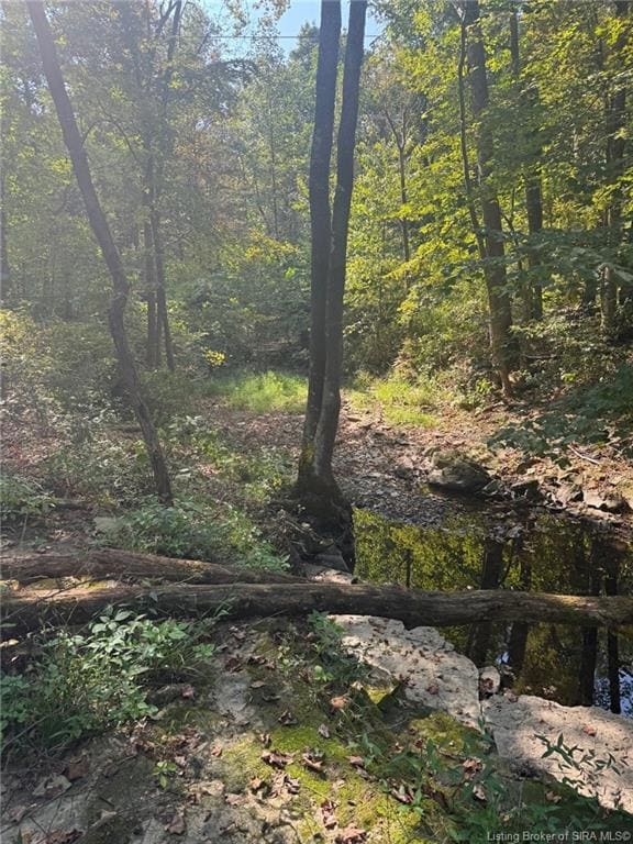 2843+ E Thornton Rd, Madison, IN 47250 - photo 3