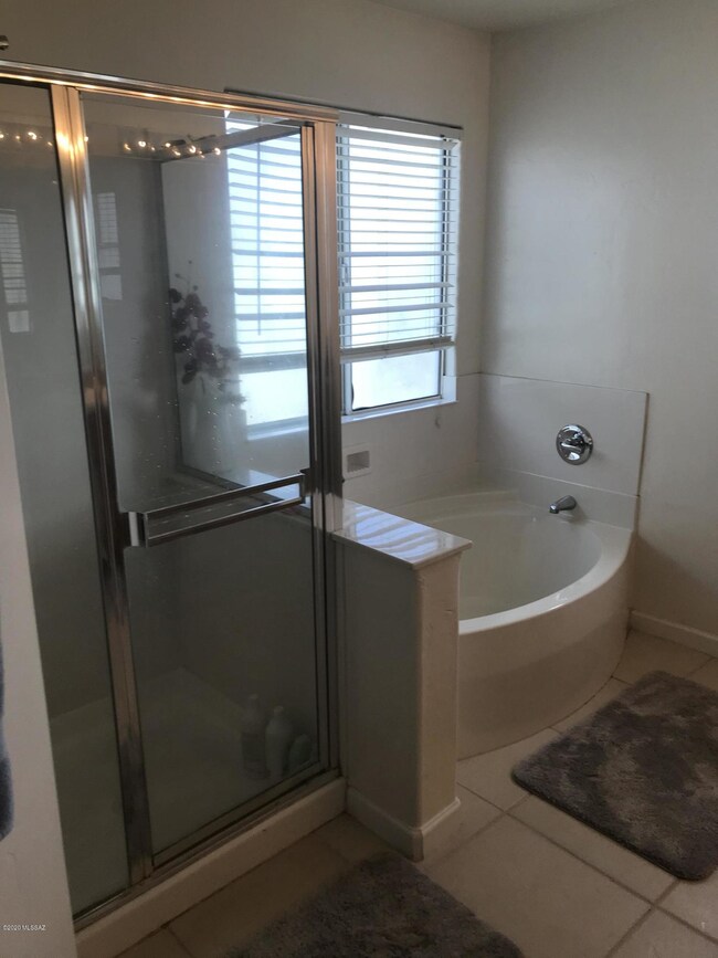 Master Shower and Garden Tub