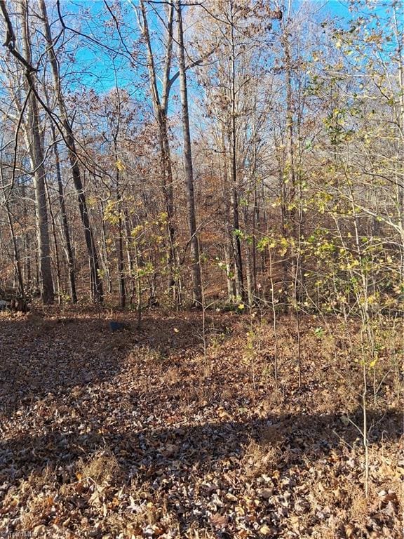 6819 Long Meadow Dr, Whitsett, NC 27377 - photo 5