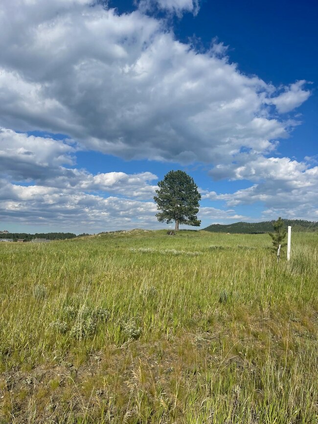 Lot 23 Park Ave unit Lot 23, BL 1 Stone H, Custer, SD 57730 - photo 3