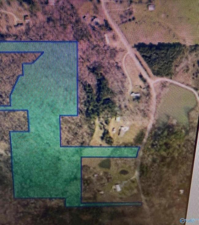 21.43 County Road 81, Danville, AL 35019 - photo 2