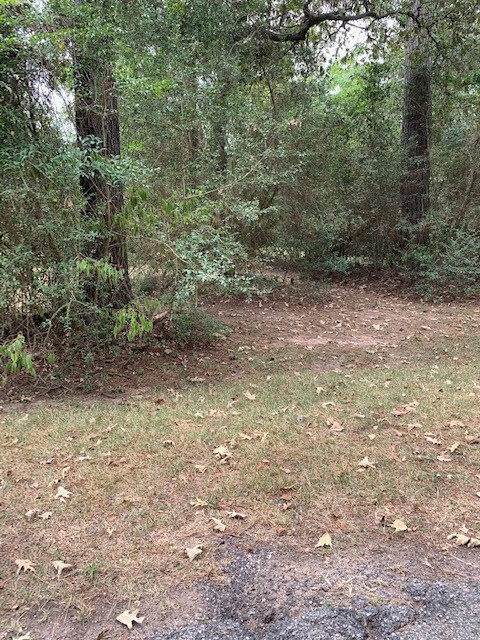 -0- Lark Ln, Holly Springs, TX 77447 - photo 6