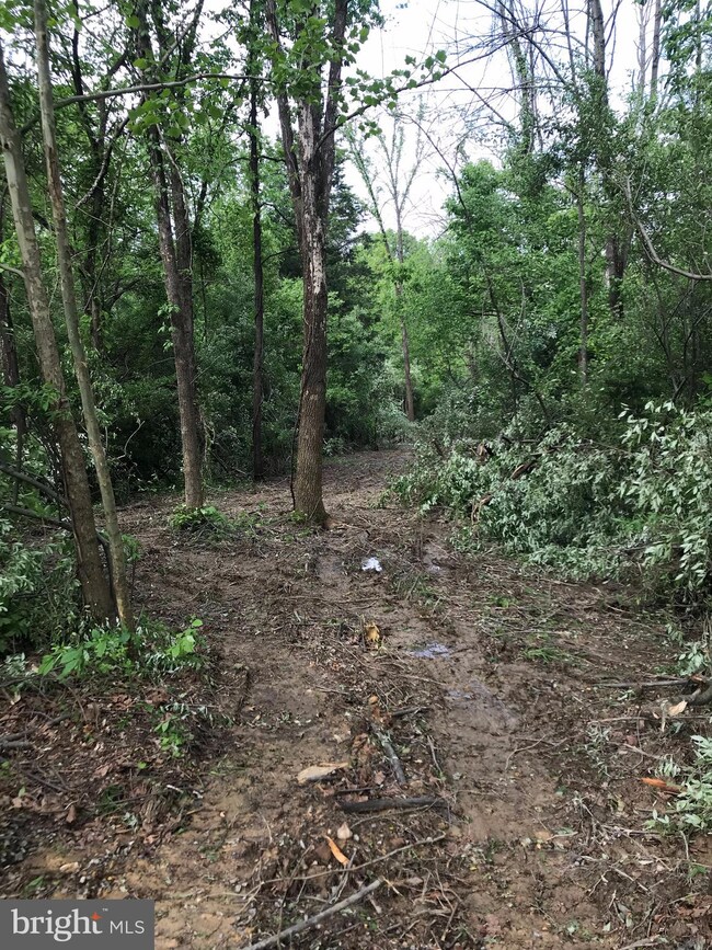 1641 Deer Rapids Rd, Strasburg, VA 22657 - photo 2