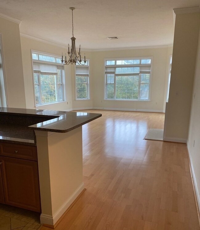 Salem Place Condominiums unit 100, Woburn, MA 01801 - photo 4