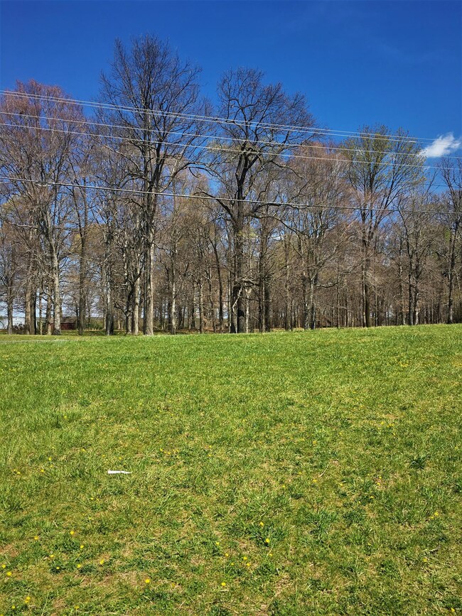 View of the front yard.