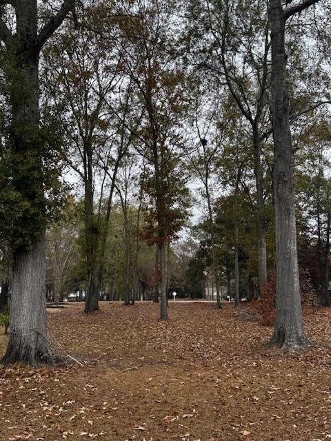 254 Ridge Lake Dr, Manning, SC 29102 - photo 2