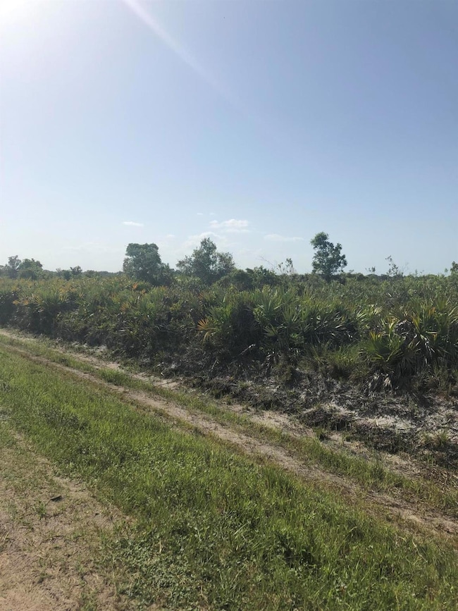 19775 NW 242nd St, Okeechobee, FL 34972 - photo 7