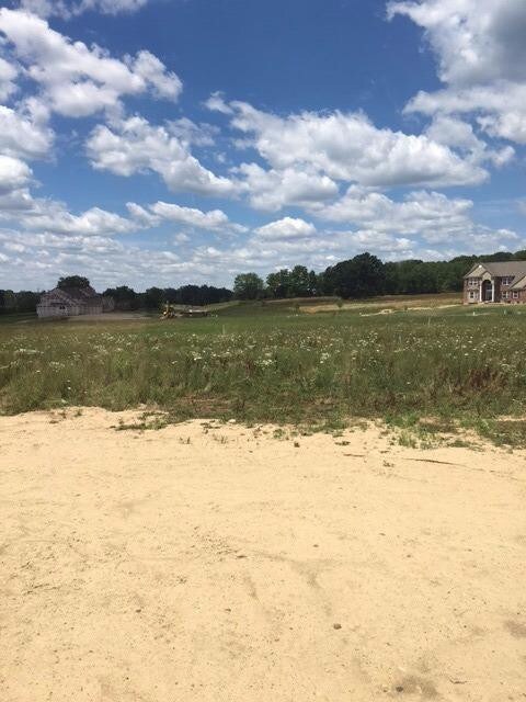 View from actual home