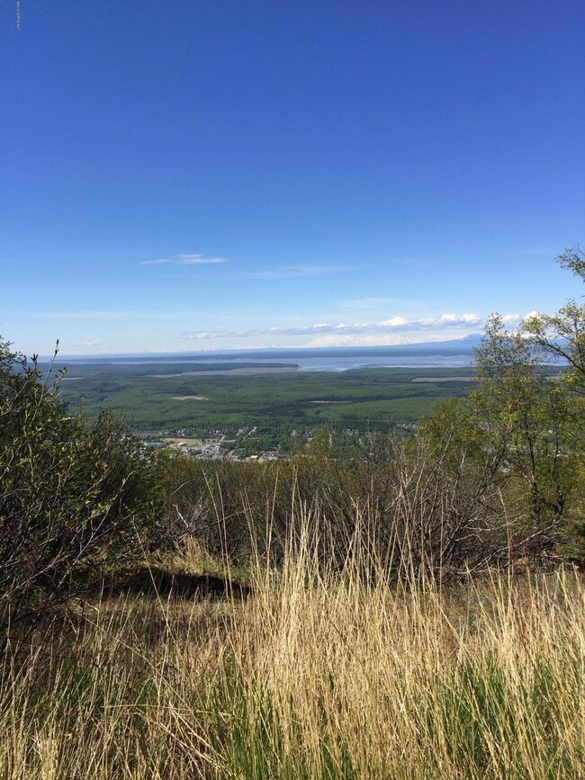 19401 Silverwood Hill Dr, Anchorage, AK 99577 - photo 5