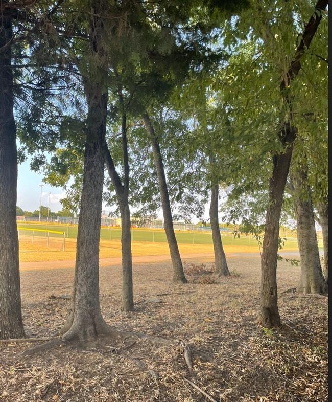 243 Lake Travis Dr, Wylie, TX 75098 - photo 4