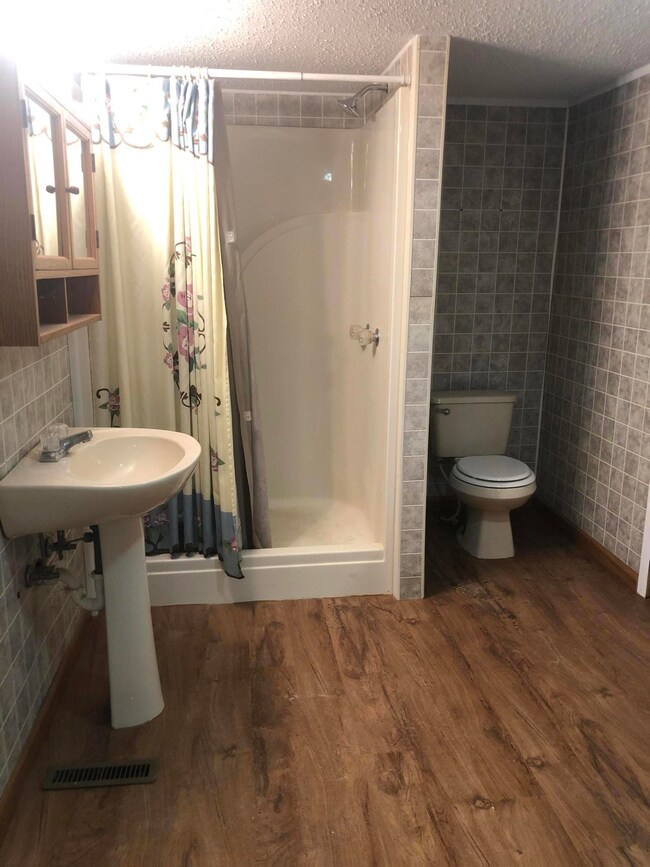 115 E Riverview Ave, Watauga, TN 37694 - photo 7