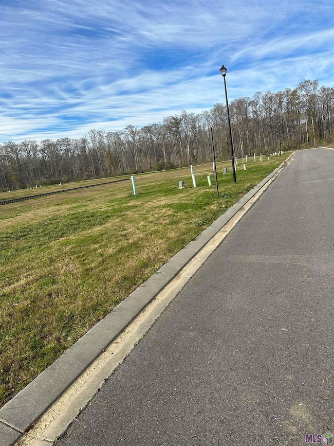 12820 St Lucia Dr, Maurepas, LA 70449 - photo 3