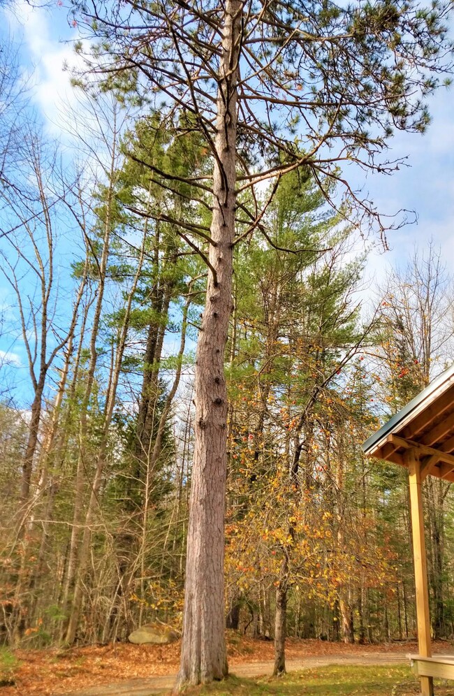IMG_20191106_130313358_HDR