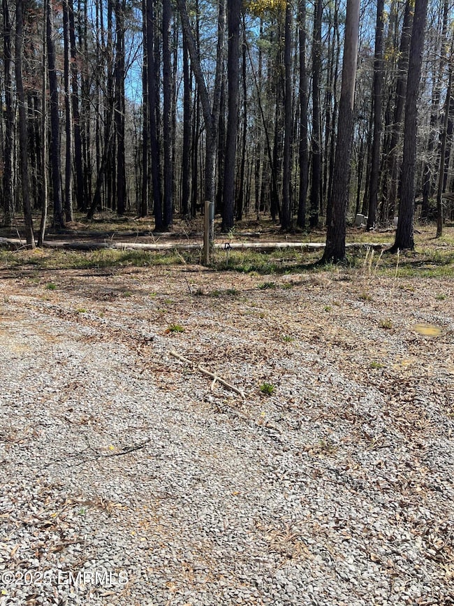 1204 L Ratliff Ferry Rd, Canton, MS 39046 - photo 2