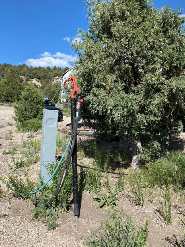 Frost free hydrant