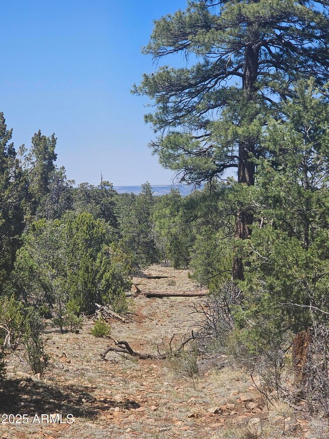 3662 Sunset Ridge Loop unit 143, Blue Ridge, AZ 86024 - photo 6