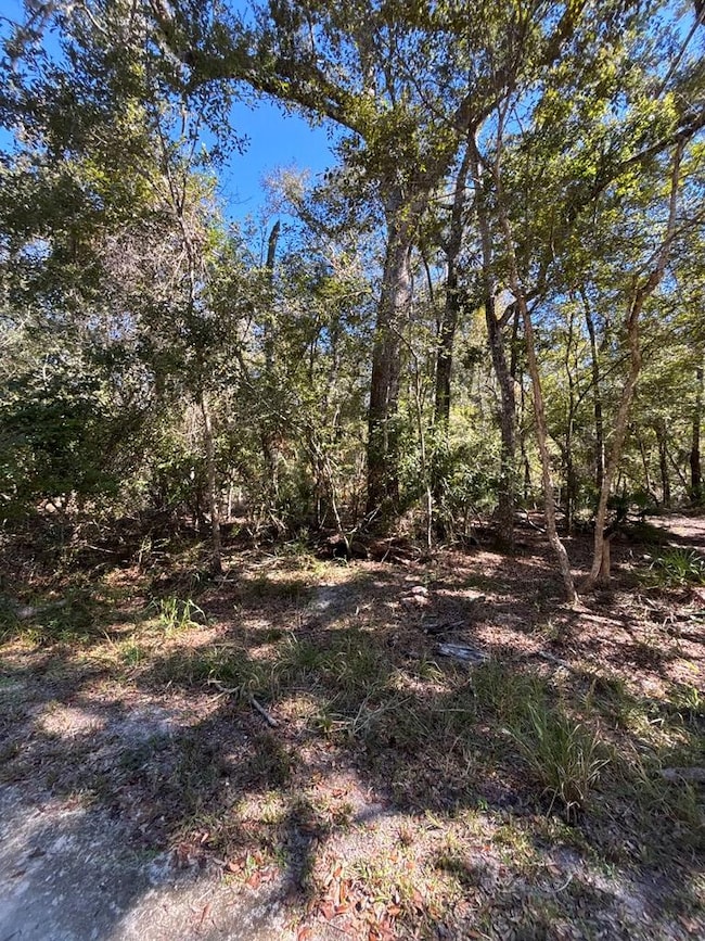 Lot 1 SE 843rd St, Old Town, FL 32680 - photo 4