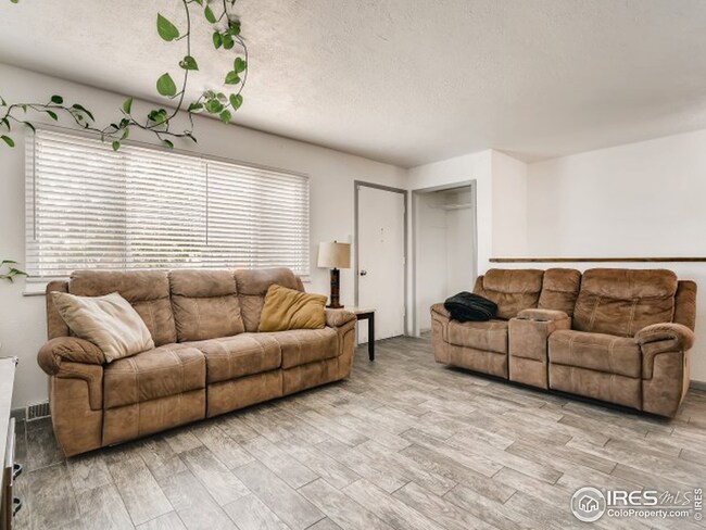 Plenty of natural light!