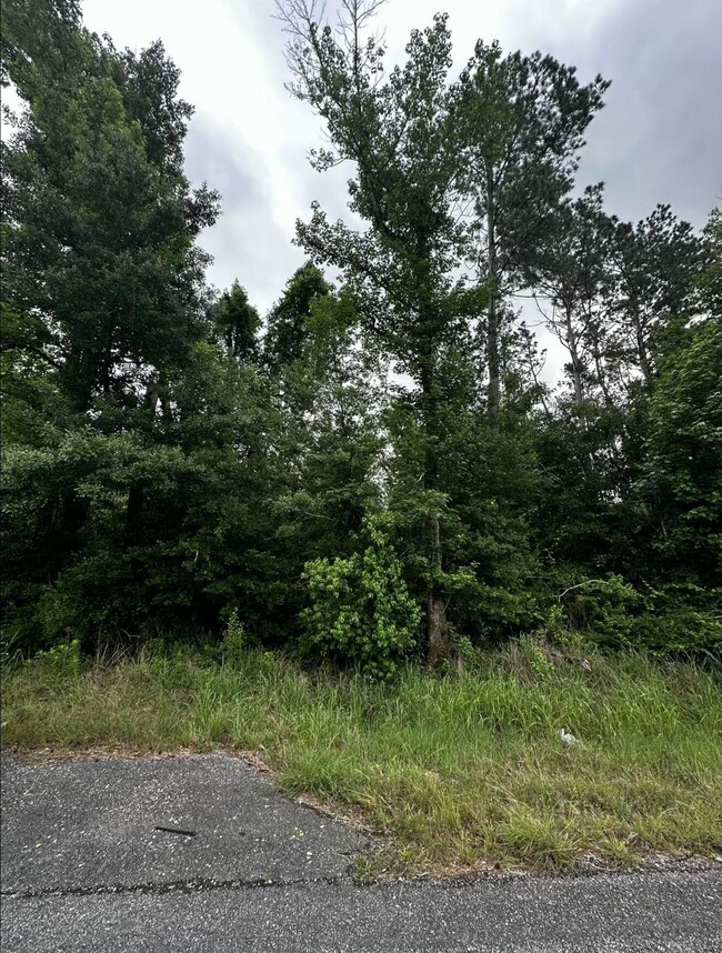 0 Louisiana 109, Starks, LA - photo 5