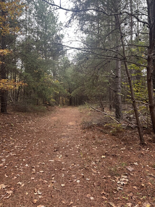 316 Arbor Rd, Linden, TN 37096 - photo 6