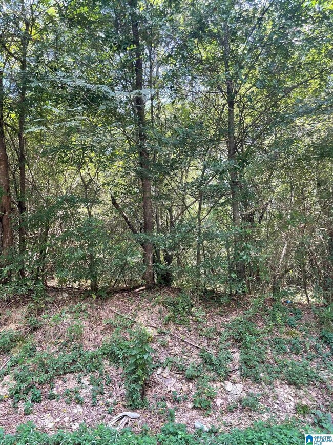 3449 Honeycutt Rd unit 123, Adamsville, AL 35005 - photo 2