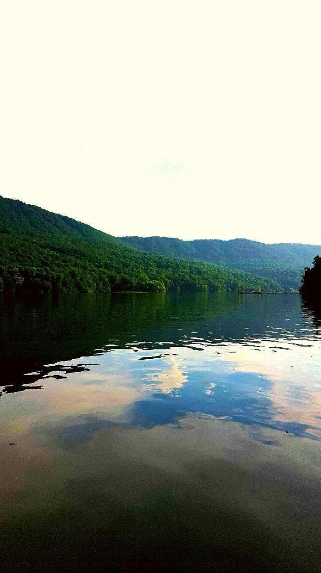 Mountain River View