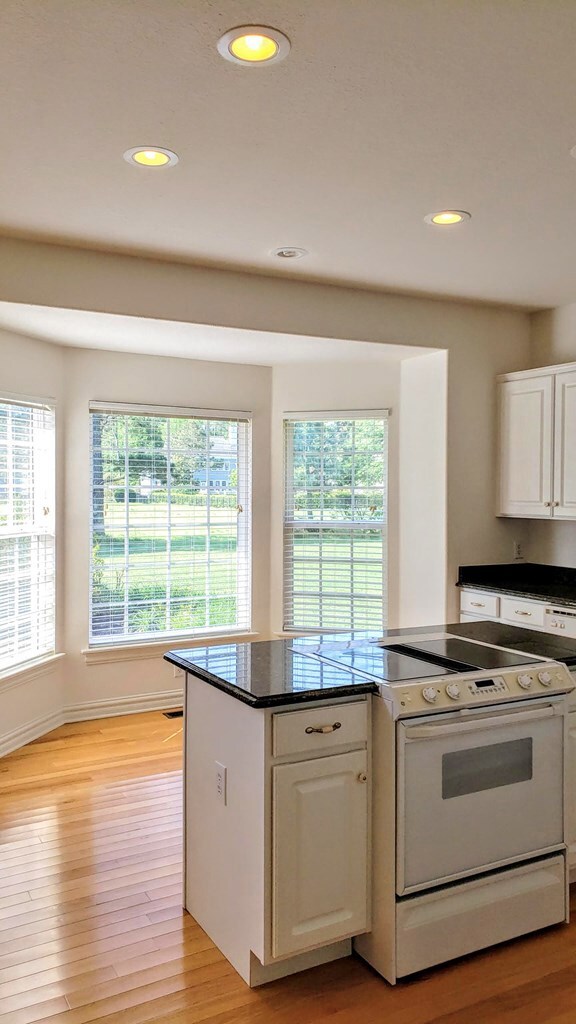 9' ceilings in the 18' x 20' eat-in kitchen