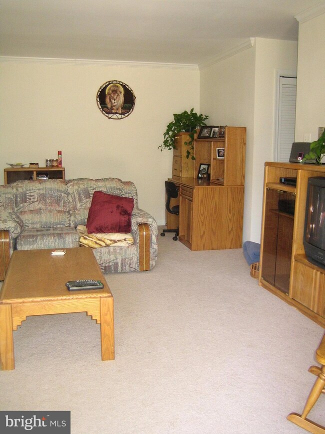 3332 Spring Ln unit D-26, Baileys Crossroads, VA 22041 - photo 7