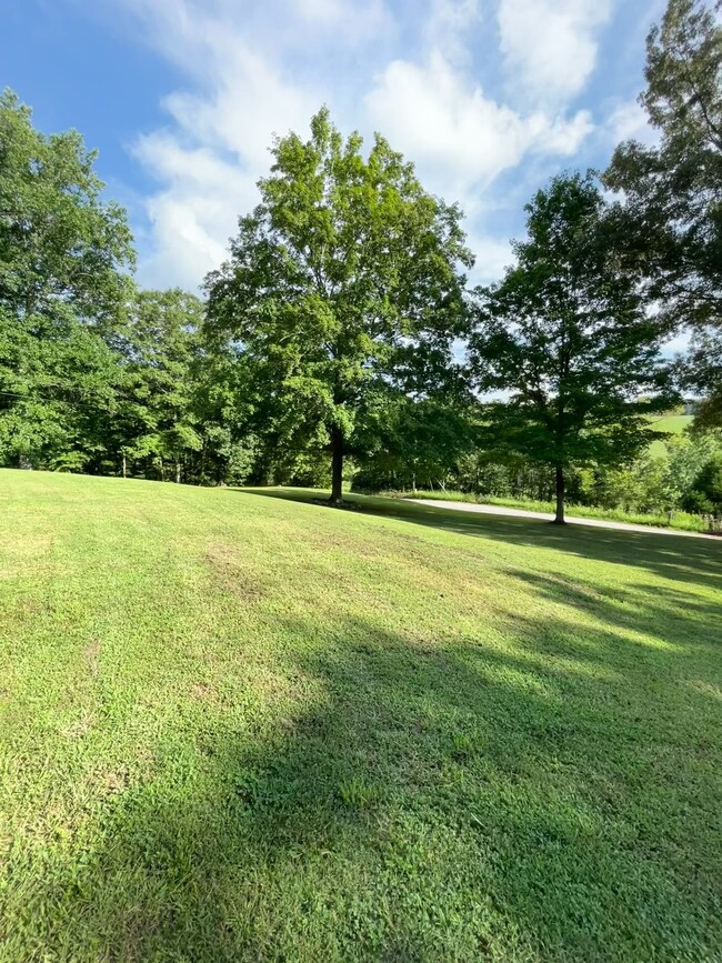 2050 Limekiln Rd, Tennessee Ridge, TN 37178 - photo 5