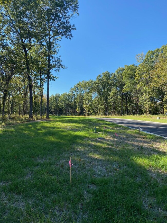 Lot 6 the Estates of Enniskerry, Nixa, MO 65714 - photo 2