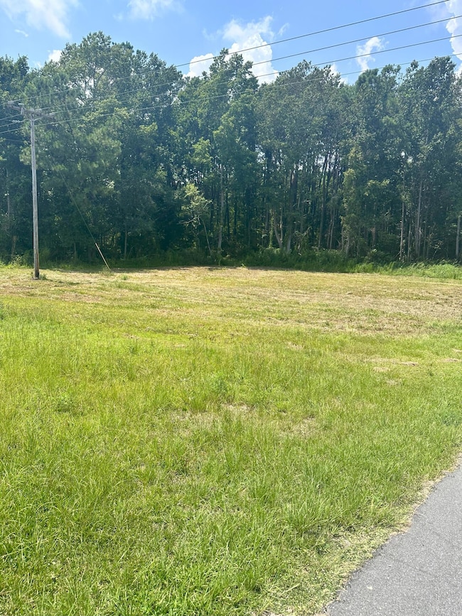 0000 N Highway 17, McClellanville, SC 29458 - photo 2
