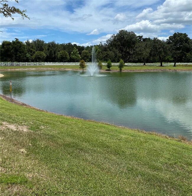 Pond across from the property