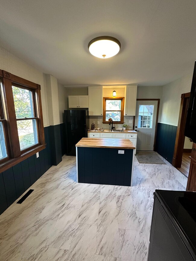 1311 Norwood St, Red Wing, MN 55066 - photo 3