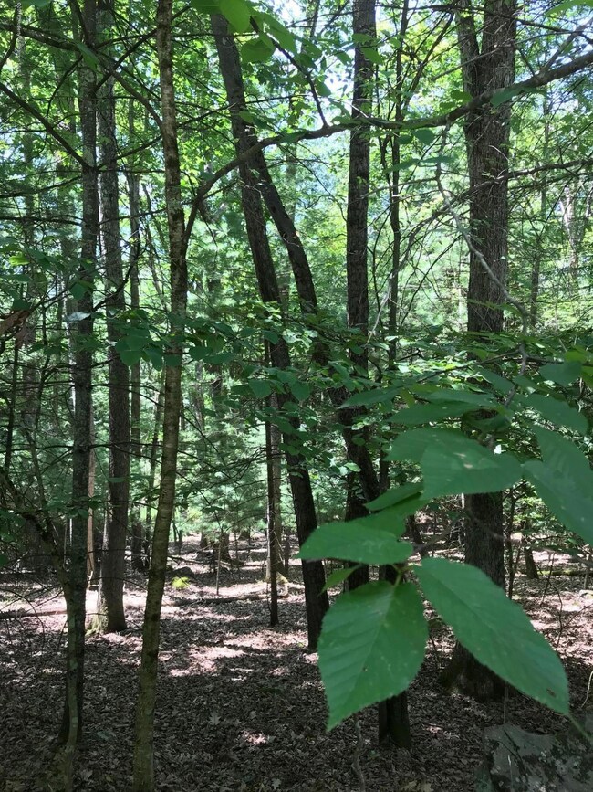 0 Woodledge East Lake Dr, Hawley, PA 18428 - photo 5