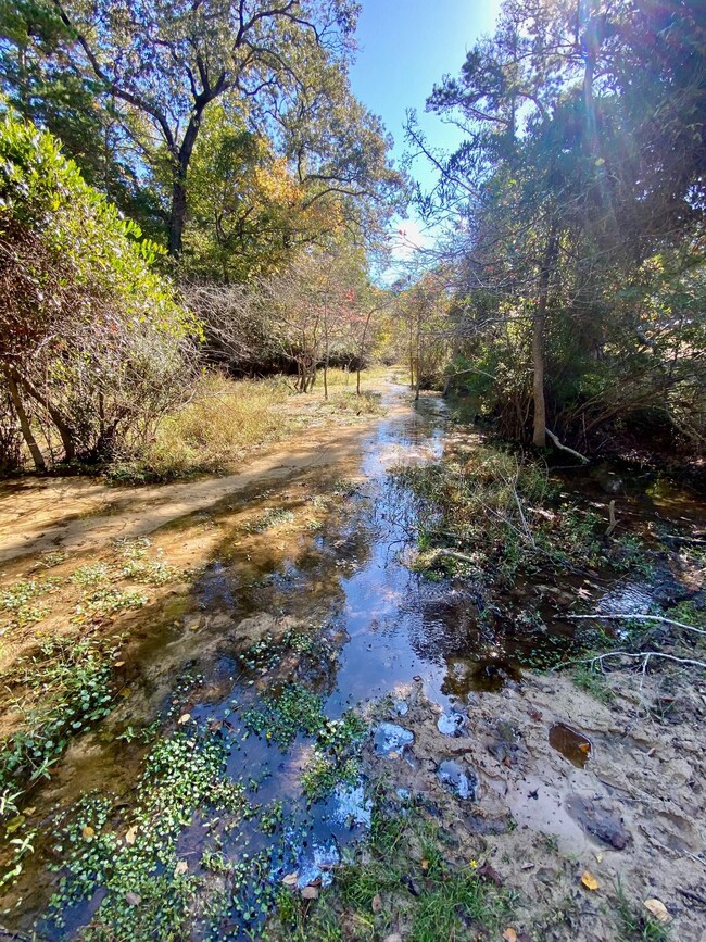 511 Private Road 6142, Grapeland, TX 75844 - photo 6