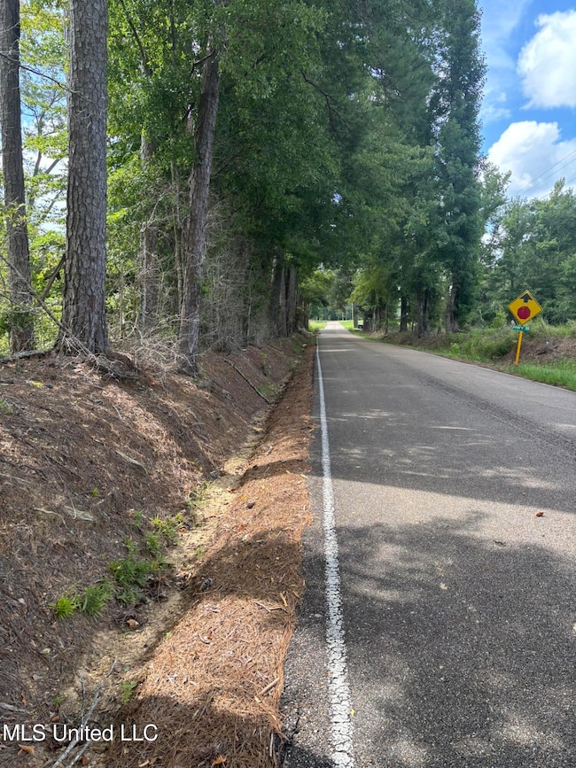 00 Johns Shiloh Rd, Brandon, MS 39042 - photo 2