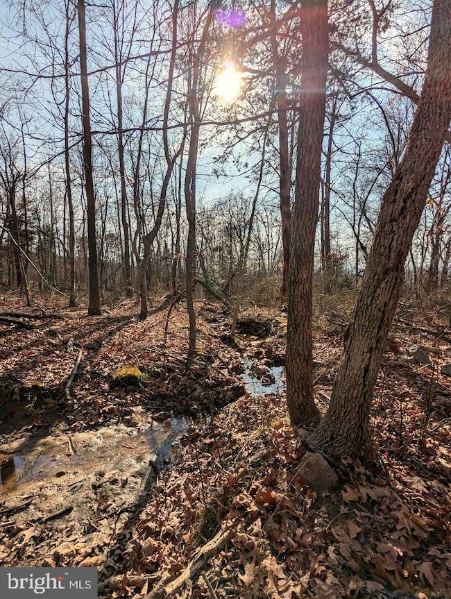 0 E Lee Hwy unit VASH2010608, New Market, VA 22844 - photo 3