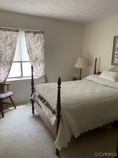 1503 Bronwyn Rd unit 203, Henrico, VA 23238 - photo 6