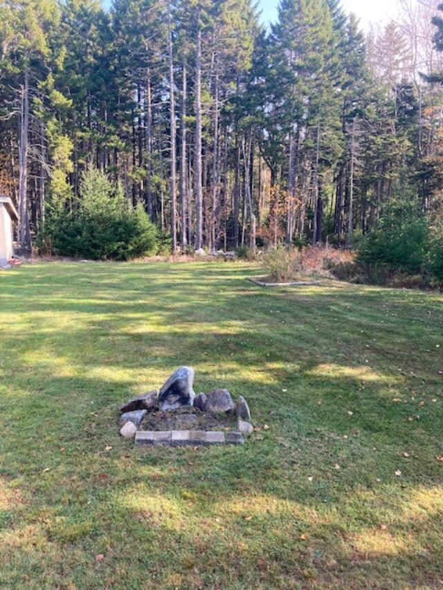 Hanrahan back yard