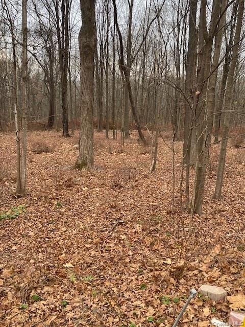 3 S Plank Rd, Westtown, NY 10998 - photo 5