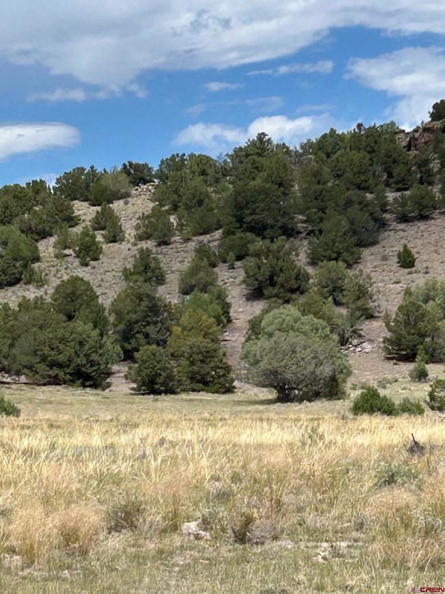 TBD Tbd, La Jara, CO 81140 - photo 4