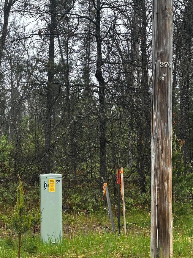 00 E 10 Mile Rd unit Parcel D-1, Irons, MI 49644 - photo 6