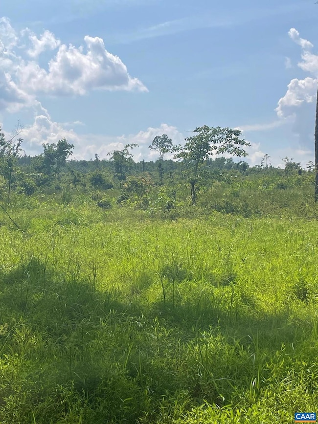 0 Passante Sr Ln unit 10 68 666509, Gordonsville, VA 22942 - photo 3