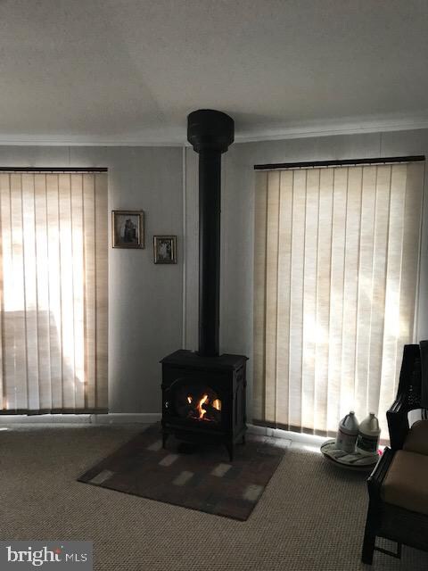 16 Breezeway Ln, Berlin, MD 21811 - photo 7