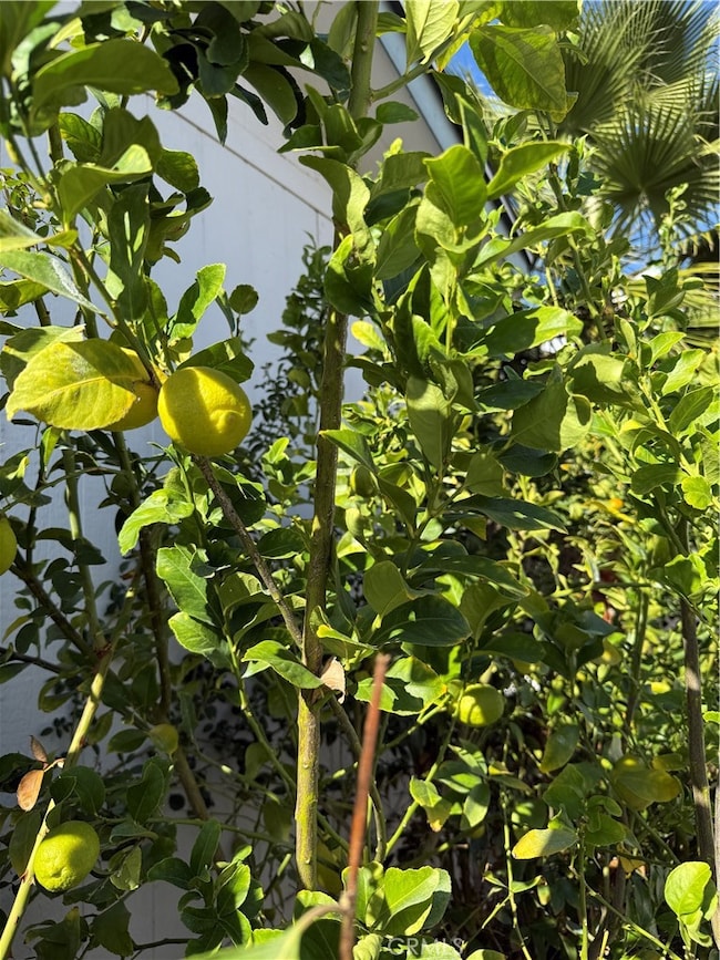 530 W Devonshire Ave unit 36, Hemet, CA 92543 - photo 5