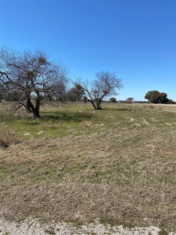 8169 Fawn Dr, Whitney, TX 76692 - photo 2